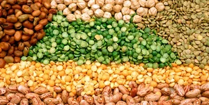 حبوبات قاسمی