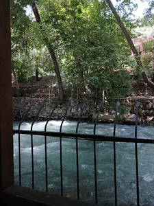 باغ رستوران رز