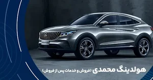 هلدینگ محمدی