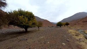 آغال سنگی باغشن گچ بزرگ