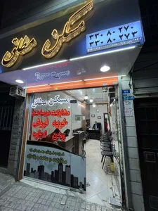 مسکن مطلق 2