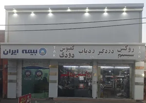 دزدگیر سیستم تک