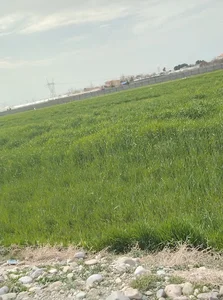 املاک مسکن مهر امام رضا