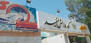 کارواش مفید 2