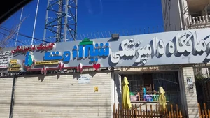 کلینیک دامپزشکی شیراز وت