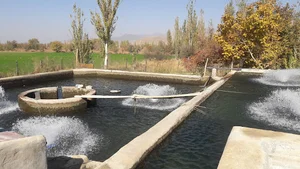 استخر پرورش ماهی ، رضائ