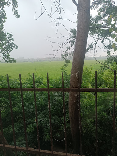 مرغاب