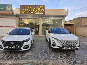 اتوگالری زیتون نایبی