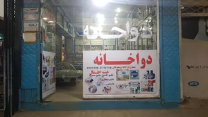 یوسف ذکی درملتون