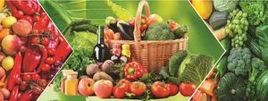 میوه فروشی سعید