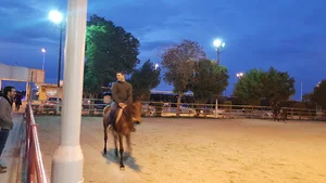باشگاه اسب سواری
