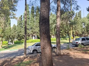 پارک شریعتی 3