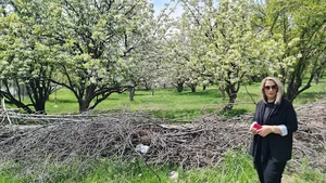 کیلان