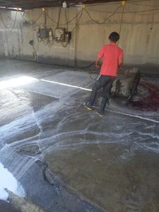 قالیشویی شهزاد در تهران