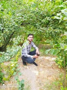 سوپر مارکت قشقایی