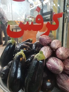 سوپر میوه اردی بهشت 2