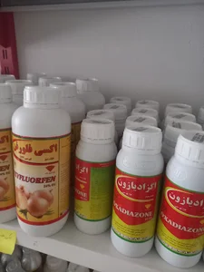 داروخانه گیاه پزشکی گلدیس