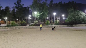 بوستان خانواده هفتصد دستگاه