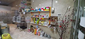 پرنده سرای سبحان