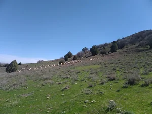 کهنه جلگه غلامان
