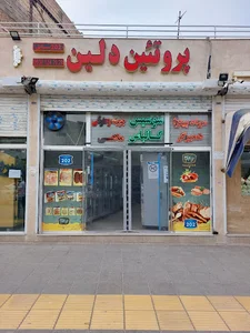 پروتئین دلین