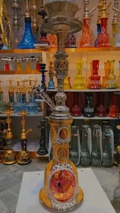 مبین نظری