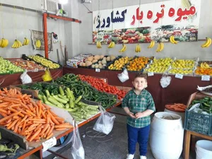 میوه و سبزی کشاورز 5