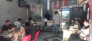 جوجه‌ترافیک 5