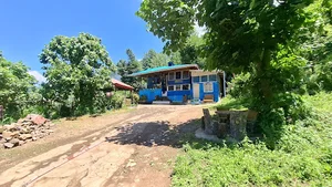 Javaneh Studio