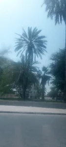 فلکه ششصد دستگاه
