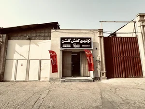 کارخانه تولیدی کفش گلشن 2