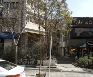 گیاهان دارویی آویشن 2
