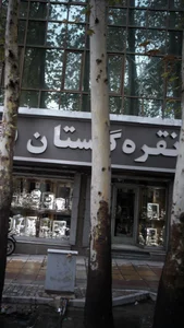 شرکت سیلور (بین الملل اصلاح نقره)
