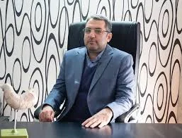 محمدحسن امامی
