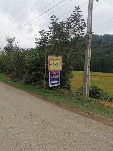 سوپرمارکت نصیری