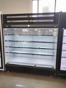 آقای یخچال