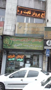گیاهان دارویی سبزینه 2