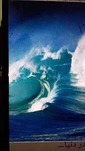 پرورش اسب کوروش