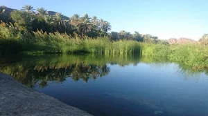 بحيرة السبحيه