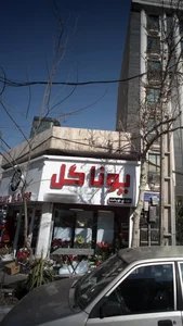 گل فروشی یونا 2