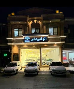 اتو امیر علی