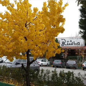 صنایع دستی نقشینه
