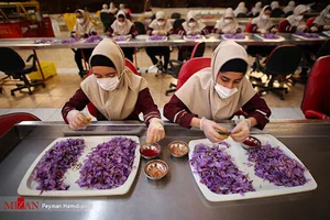زعفران حسینی