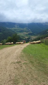 ییلاق حره خونی بالا