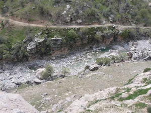 پارکی کوردستان
