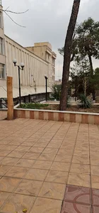 ECO Insurance Institute