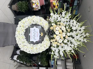 گل شقایق 2