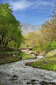 بانک انصار شعبه بانک ملی تاکستان