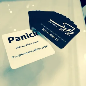 کیف و کفش پانیک