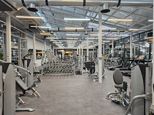 Alpha boxing gym / آکادمی بوکس آلفا